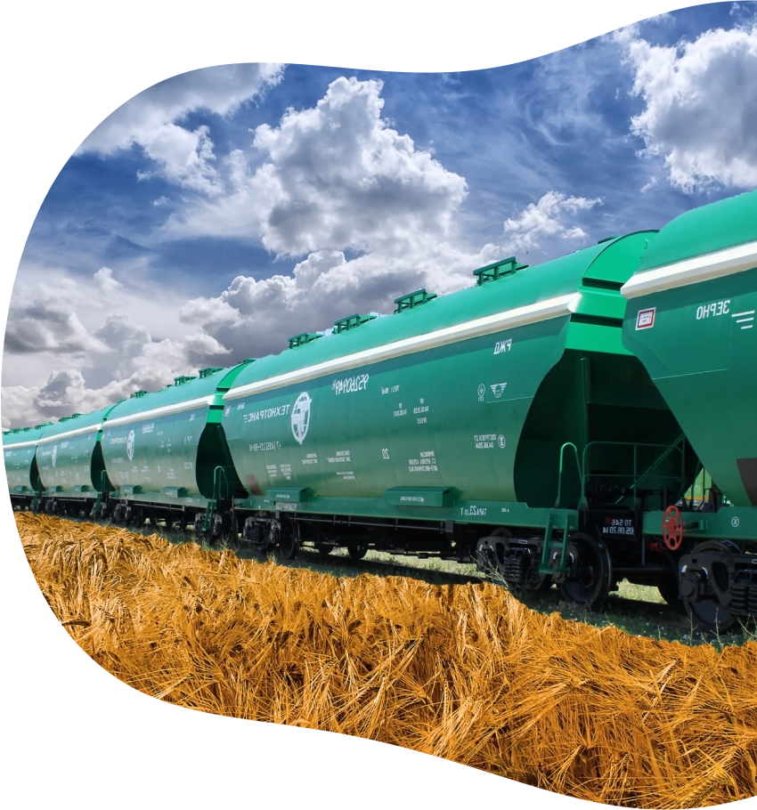 Зображення Графика